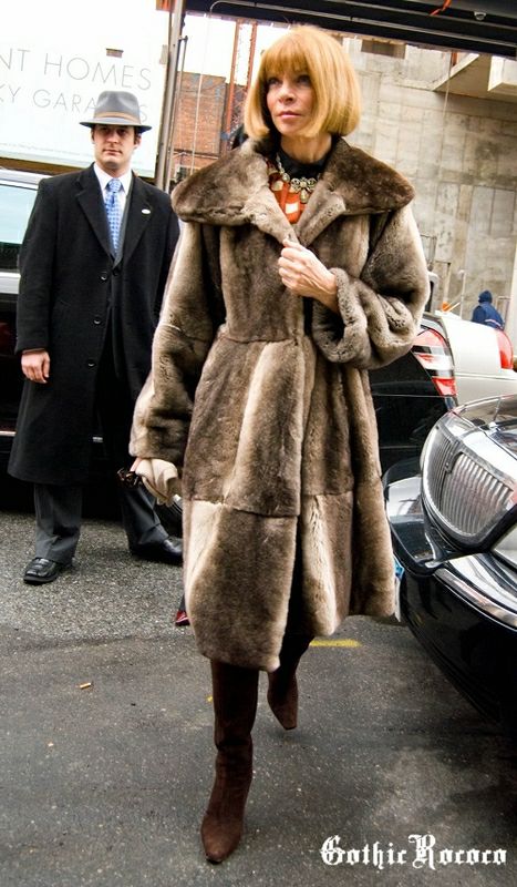 2008~srb ģ݋show